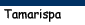Tamarispa